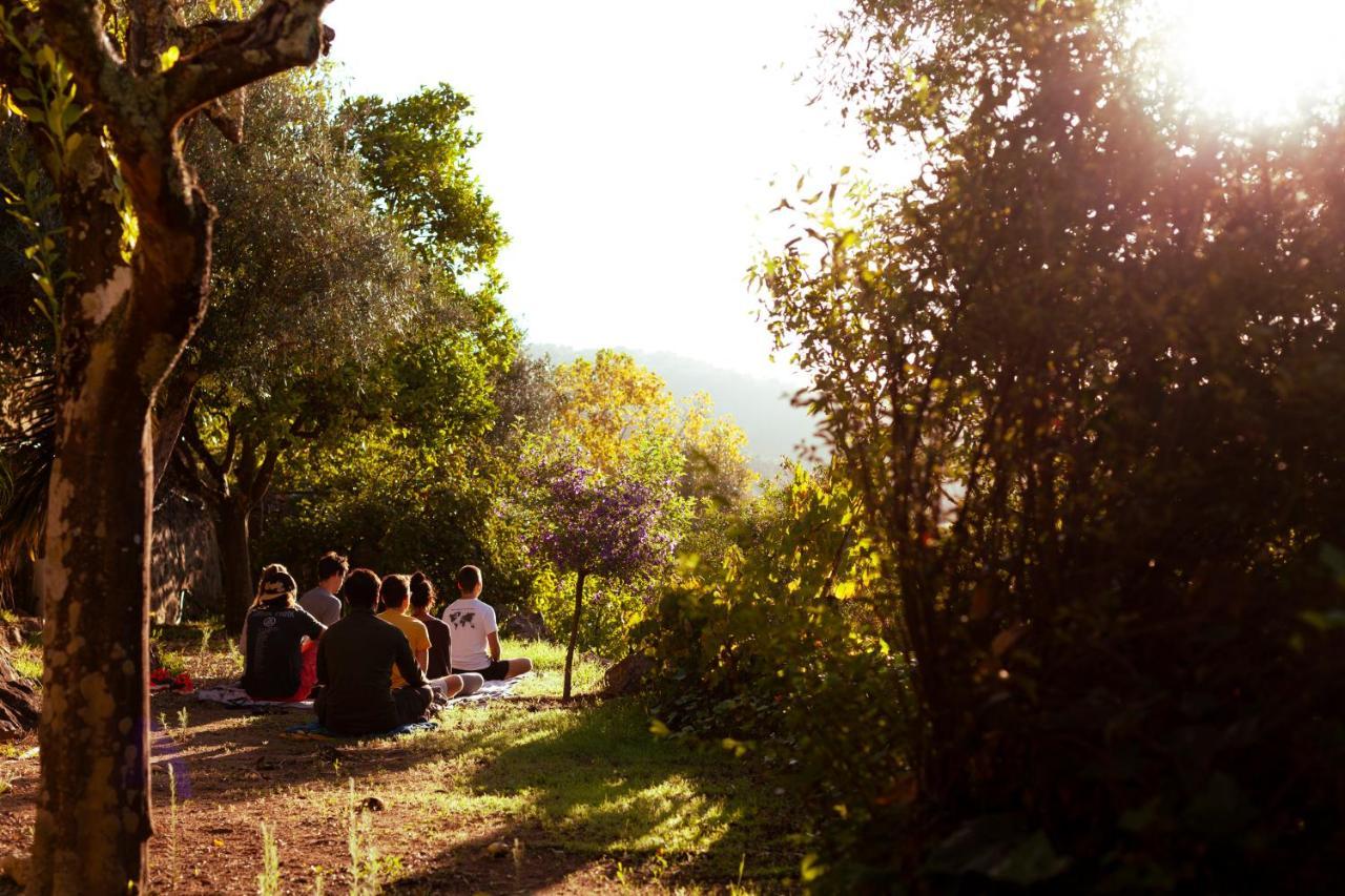 A Saboeira - Turismo Rural Belver  Zewnętrze zdjęcie